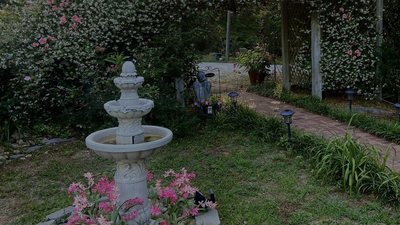 Photo of Outdoor in Lexington