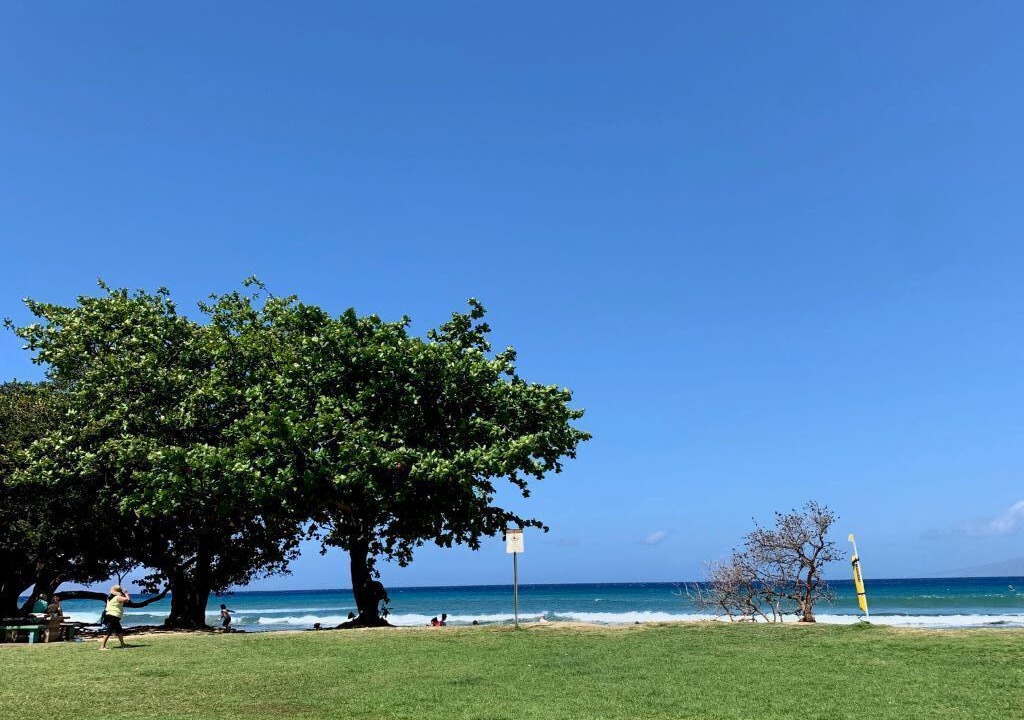 Photo of Others in Honokowai