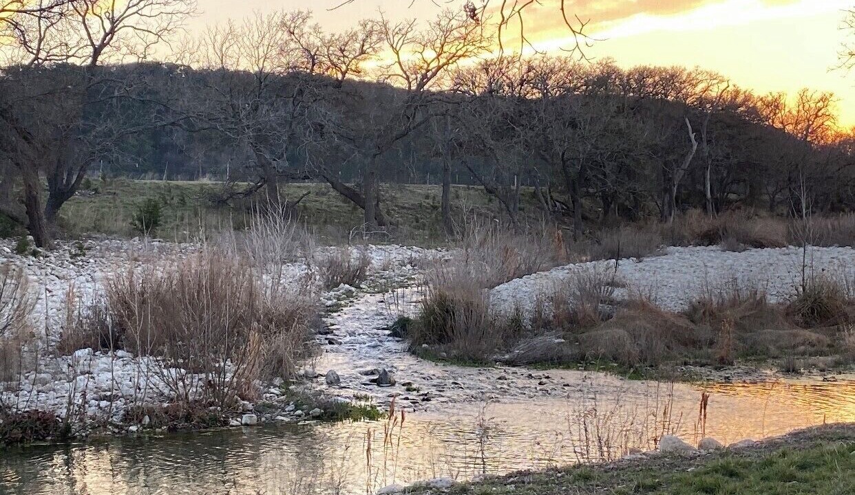 Photo of Others in Ingram