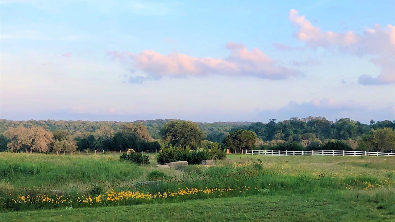 Photo of Outdoor in Dripping Springs