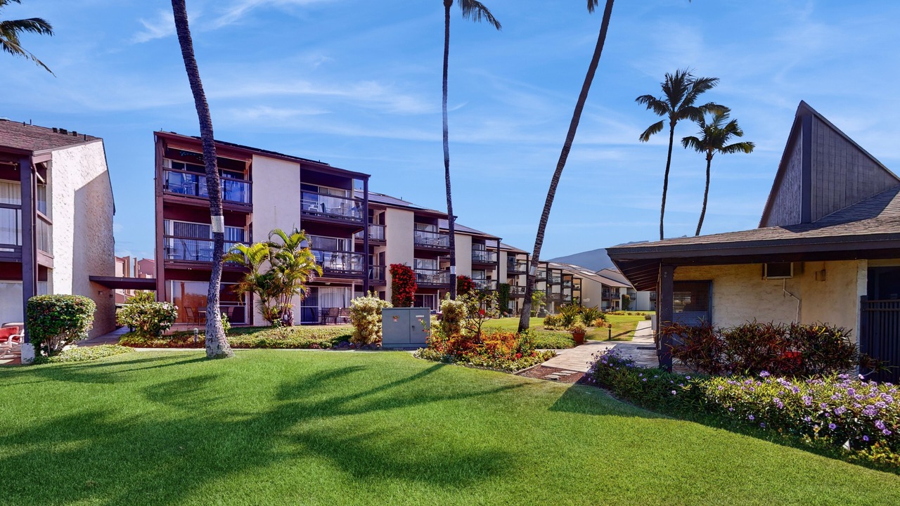 Photo of Outdoor in Kihei