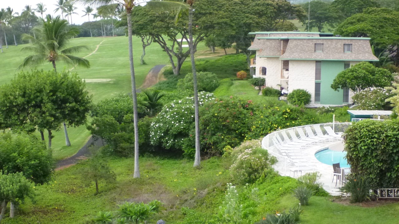 Photo of Outdoor in Keauhou