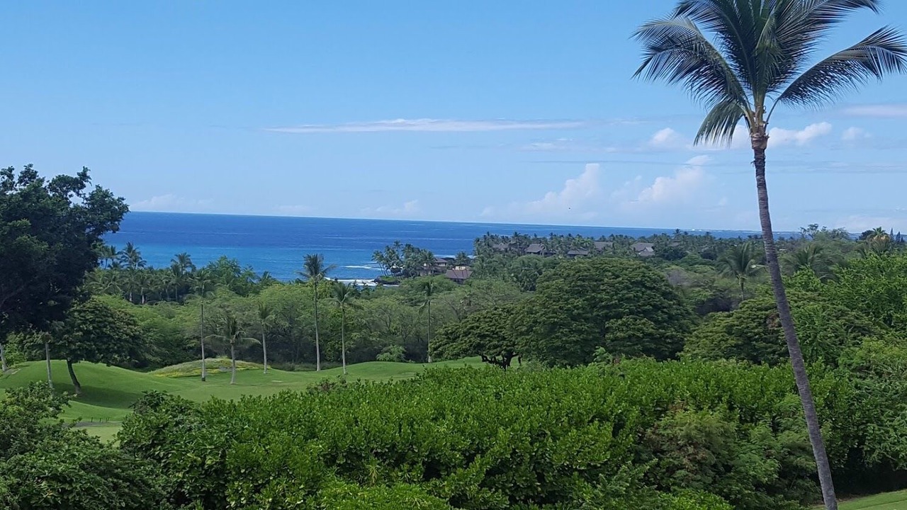 Photo of Others in Keauhou