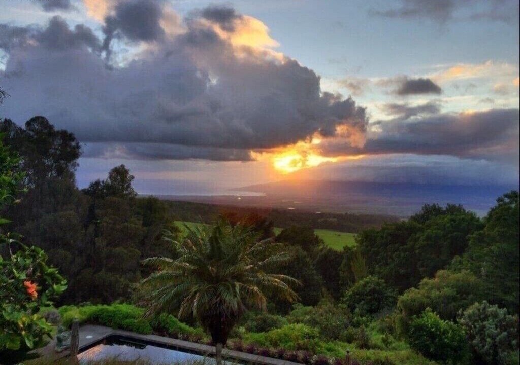 Photo of Others in Makawao