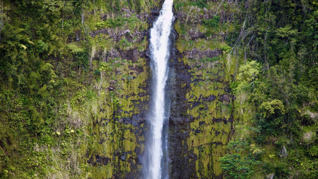 Photo of Others in Volcano