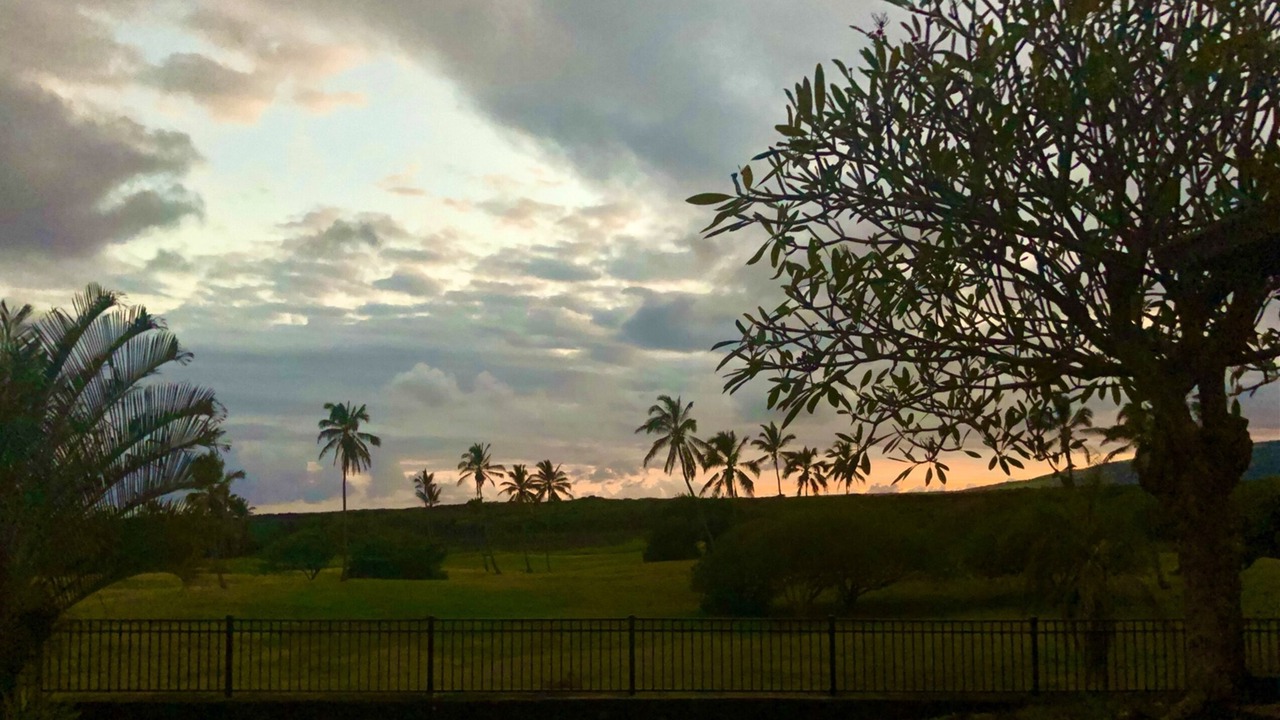 Photo of Outdoor in Punaluu