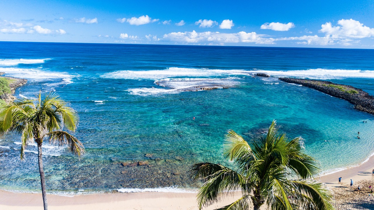 Photo of Others in Kahuku