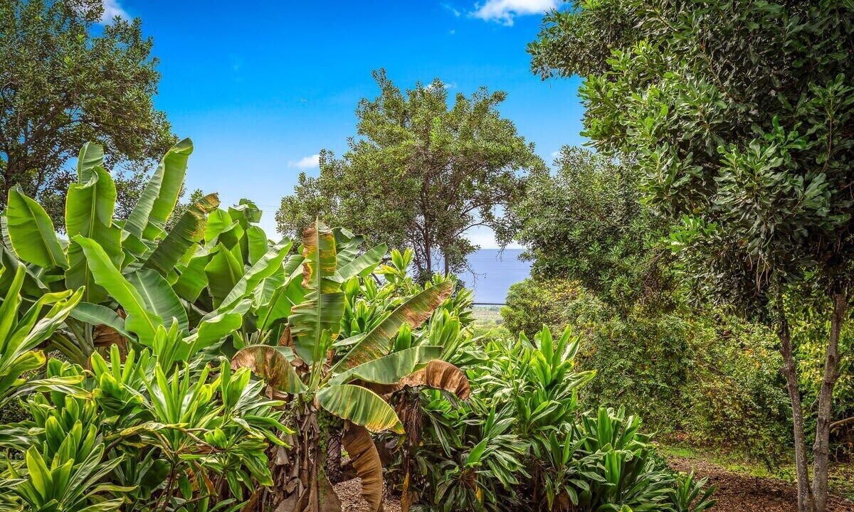 Photo of Outdoor in Honaunau-Napoopoo