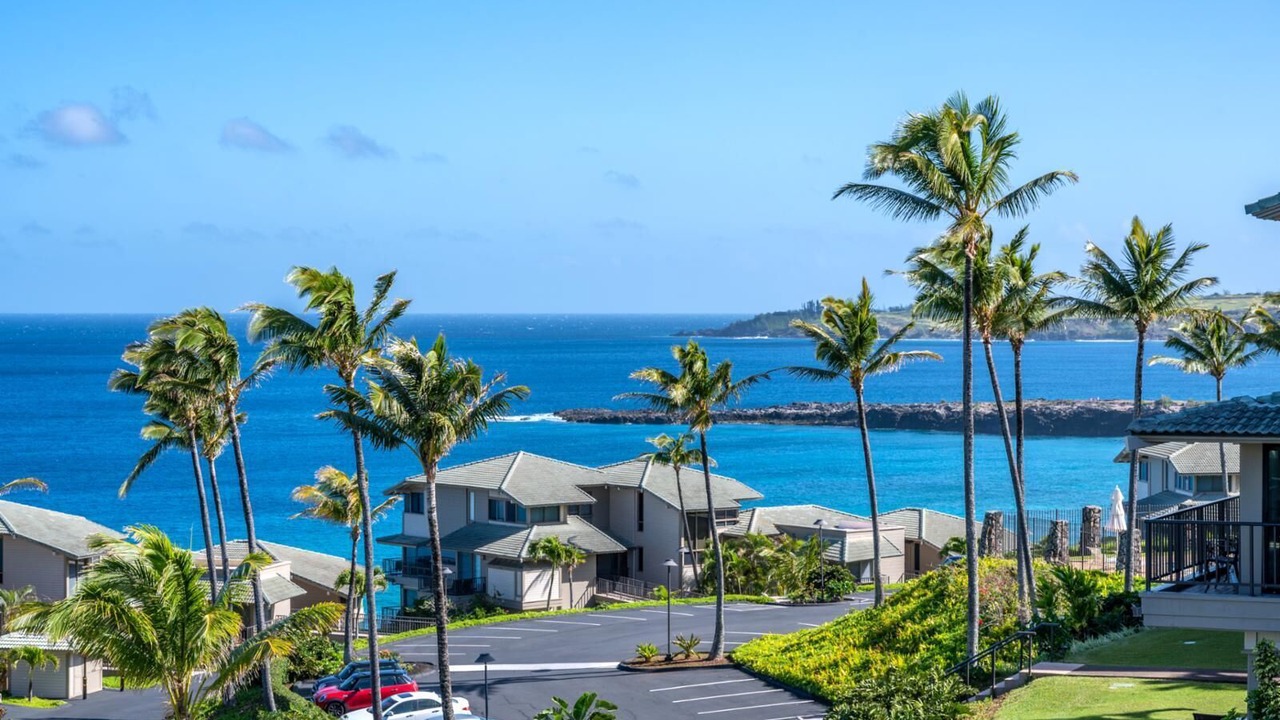 Photo of Outdoor in Napili