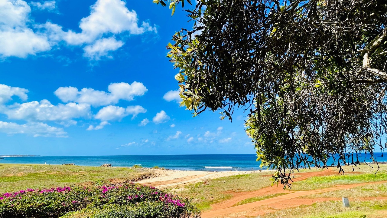 Photo of Others in Maunaloa
