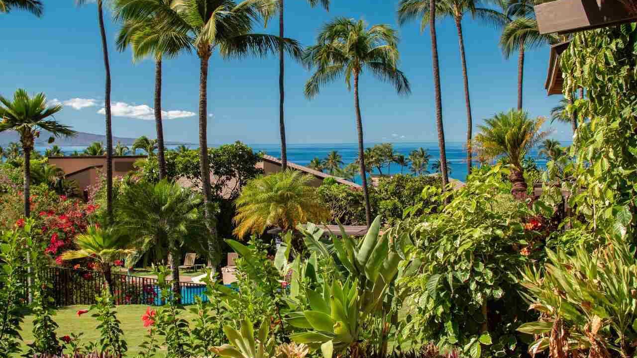 Photo of Outdoor in Wailea