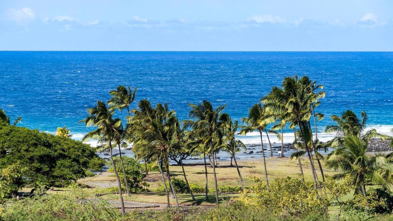 Photo of Others in Kahaluu Bay