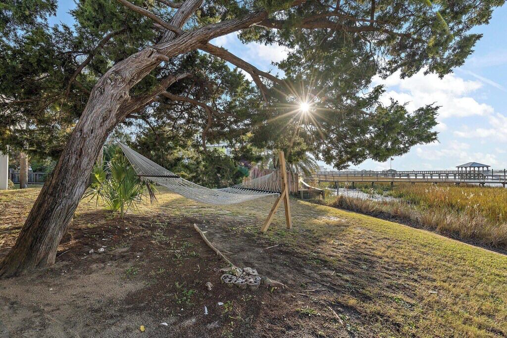 Photo of Outdoor in Isle of Palms