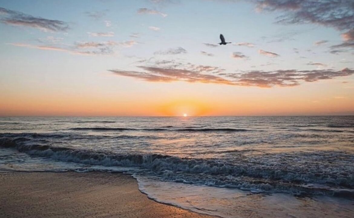 Photo of Others in Crescent Beach