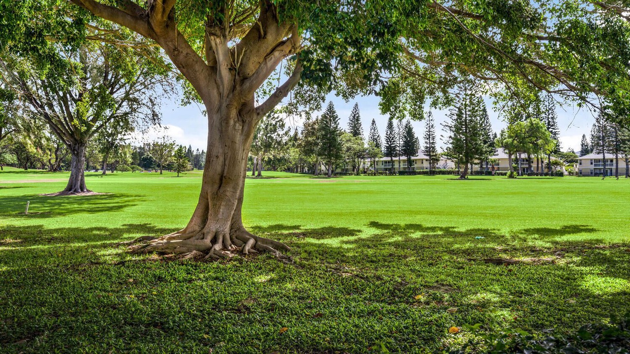 Photo of Others in Waikoloa