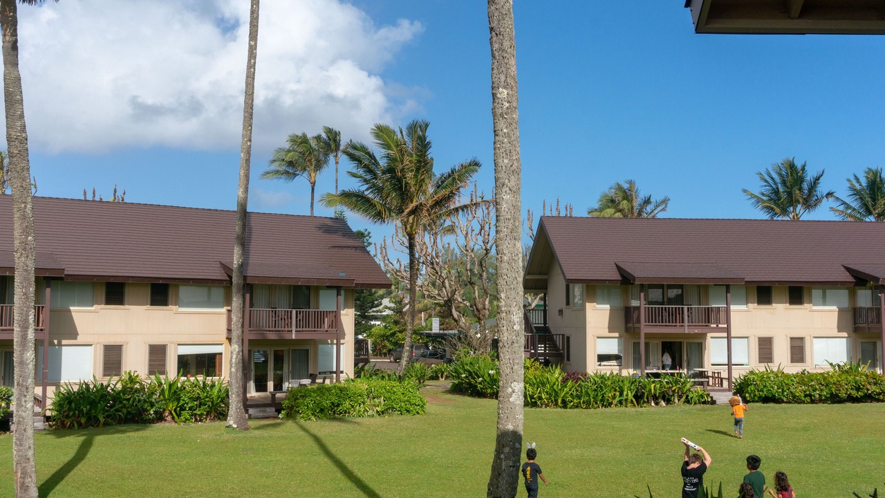 Photo of Others in Wainiha