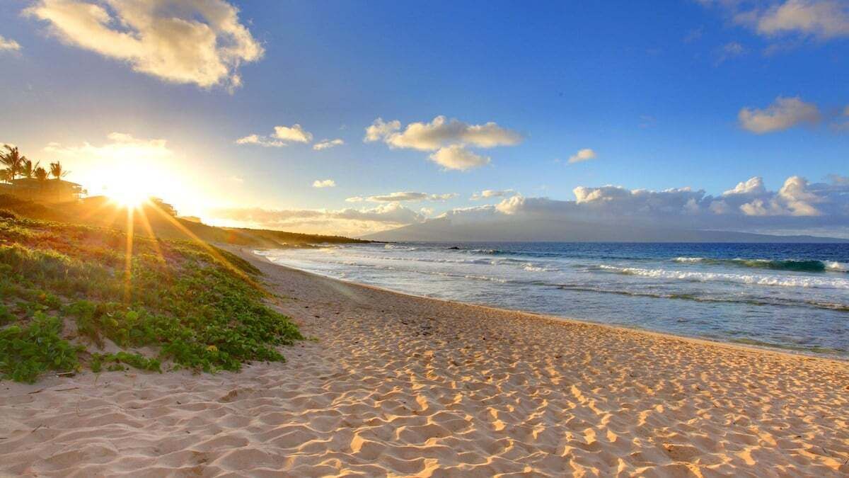 Photo of Others in Napili