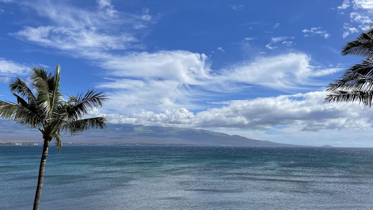 Photo of Others in Maalaea