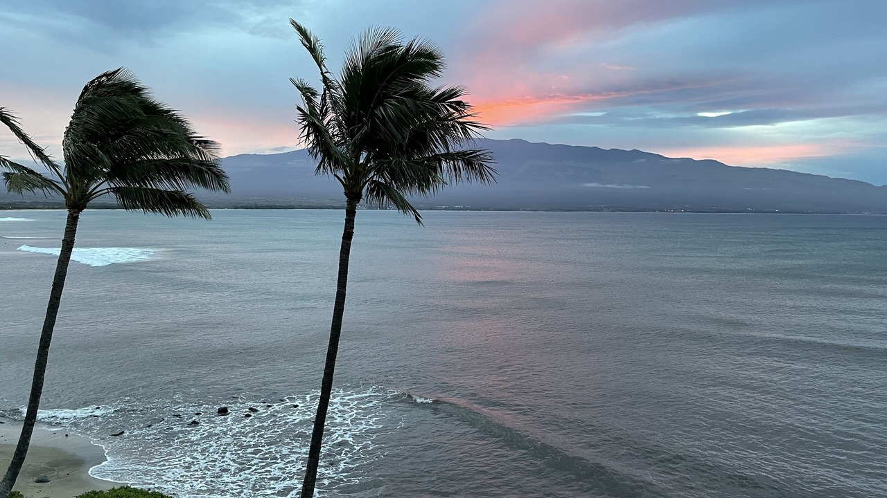 Photo of Others in Maalaea