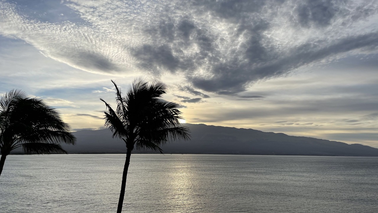 Photo of Others in Maalaea