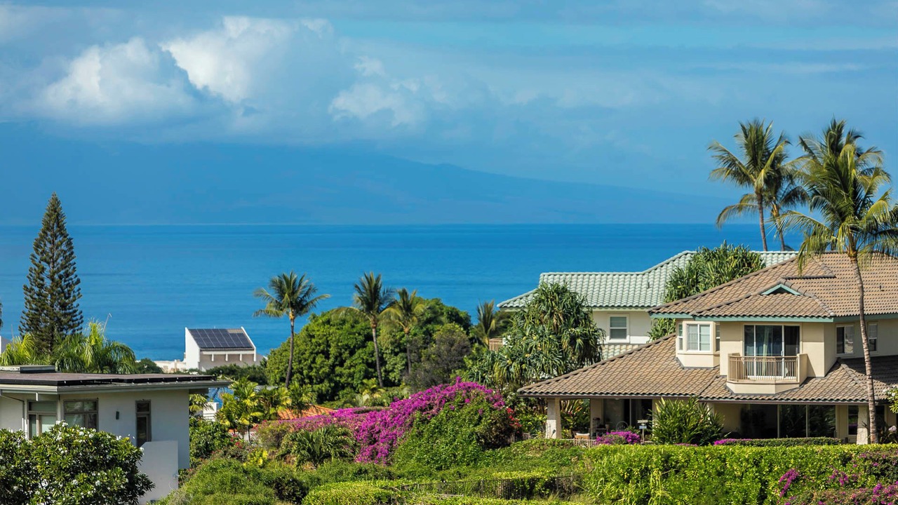 Photo of Others in Wailea