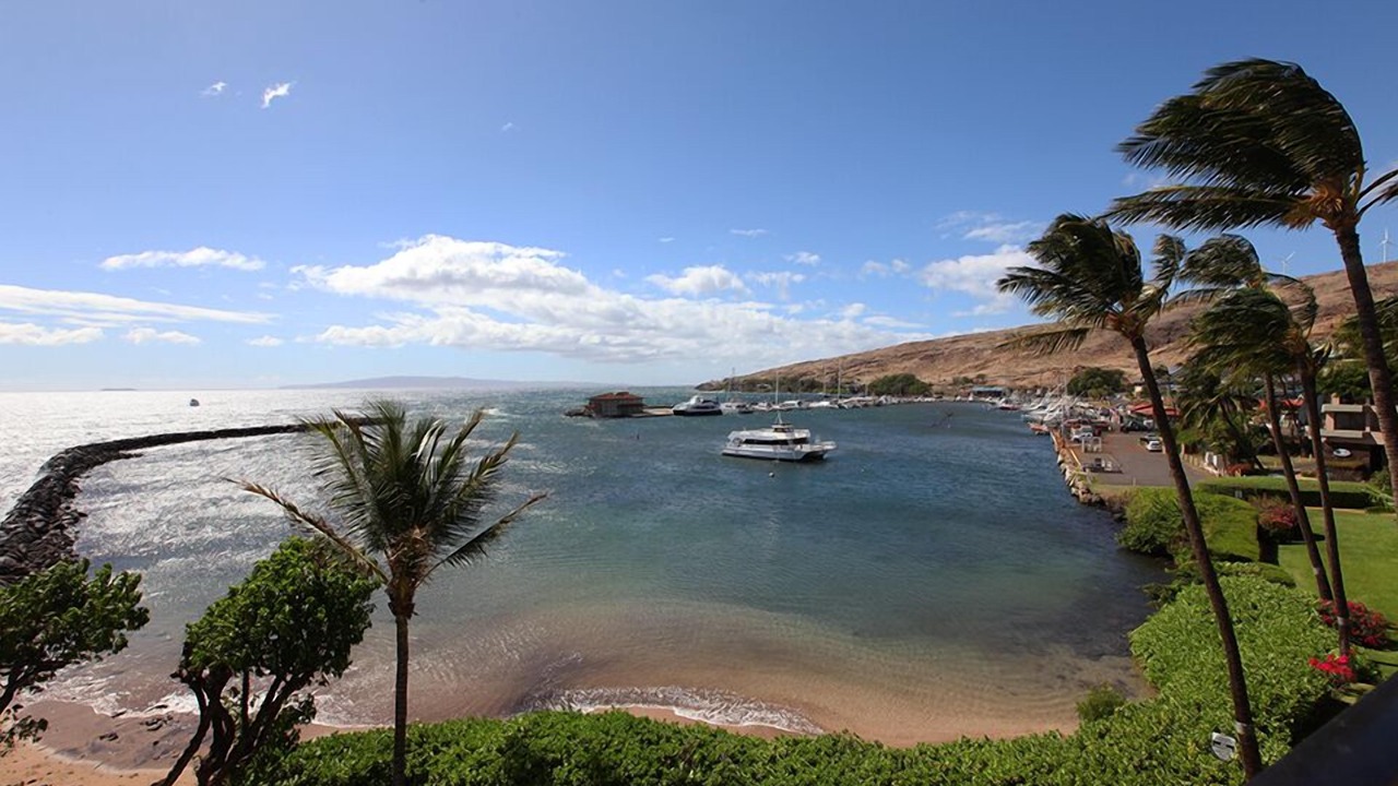 Photo of Others in Maalaea
