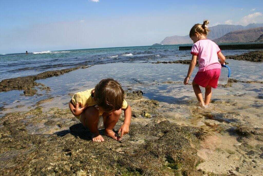 Photo of Others in Maili