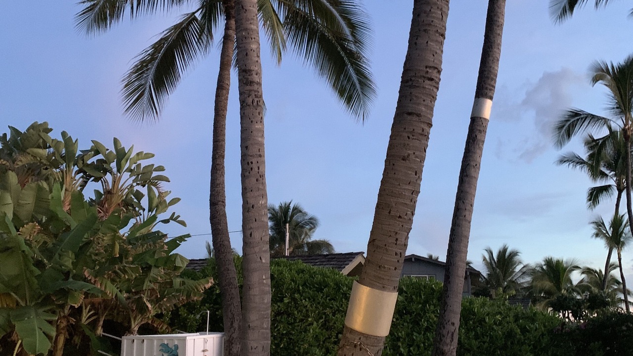 Photo of Outdoor in Maili