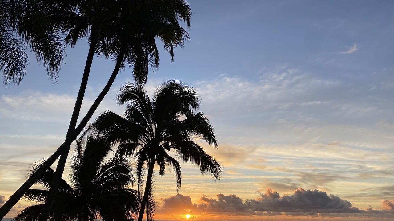 Photo of Others in Kapoho