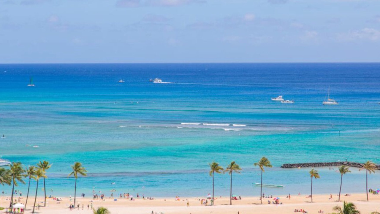 Photo of Others in Waikiki