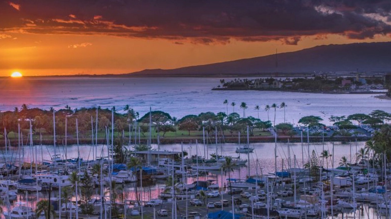 Photo of Others in Waikiki