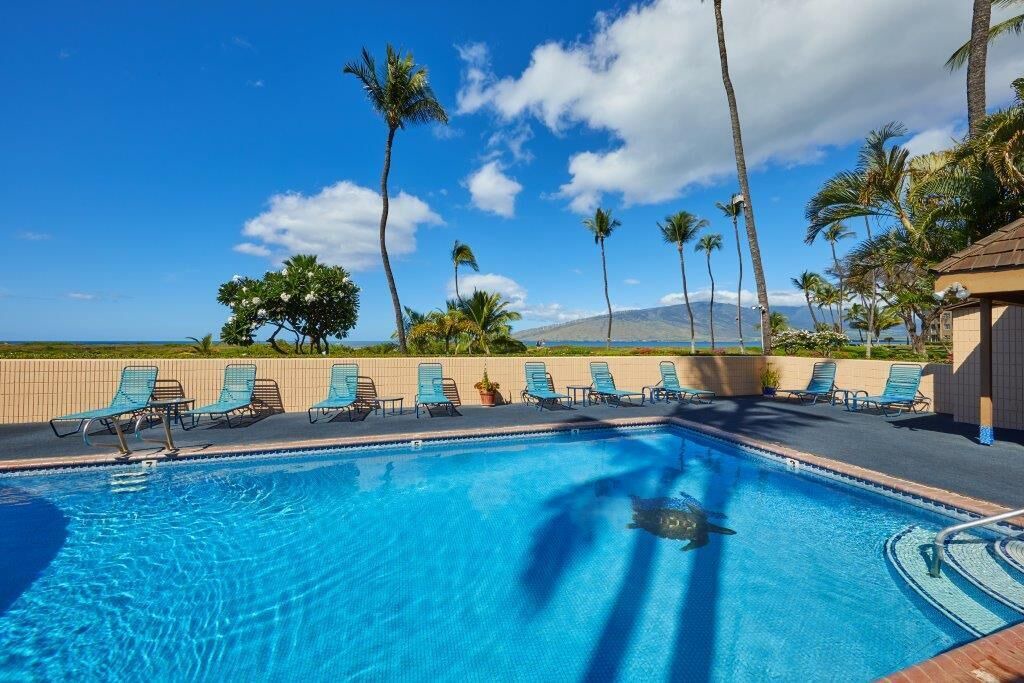 Photo of Outdoor in Kihei