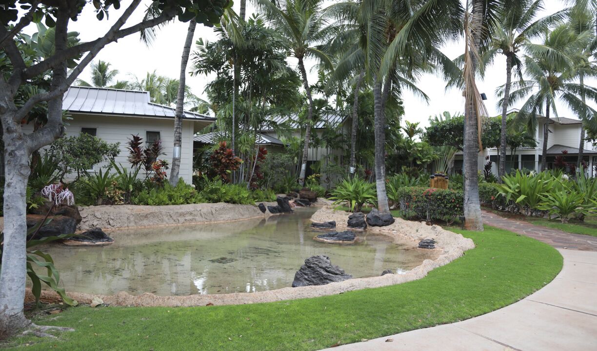 Photo of Outdoor in Kapolei