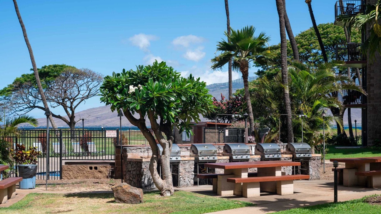 Photo of Outdoor in Kihei