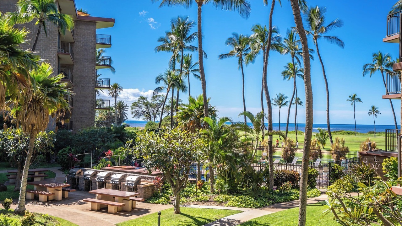 Photo of Outdoor in Kihei