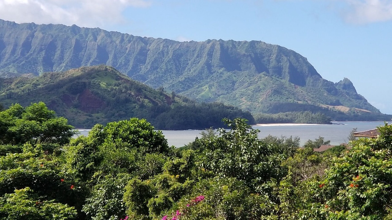 Photo of Others in Princeville