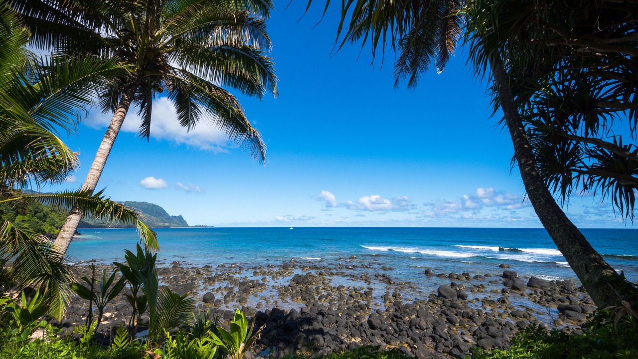 Photo of Others in Princeville