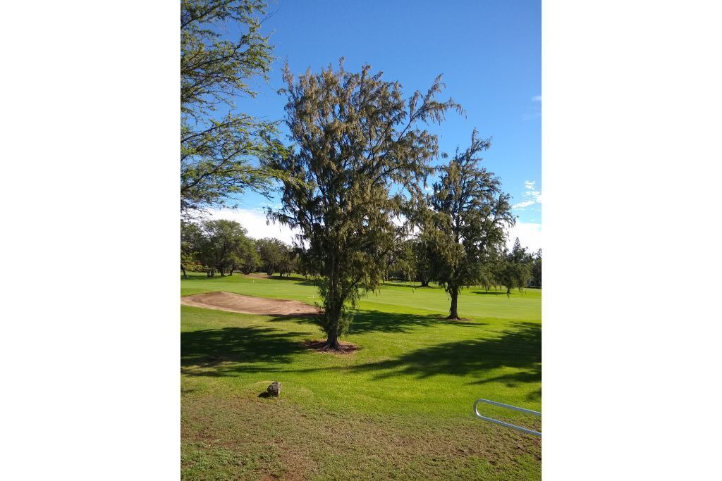 Photo of Others in Waikoloa