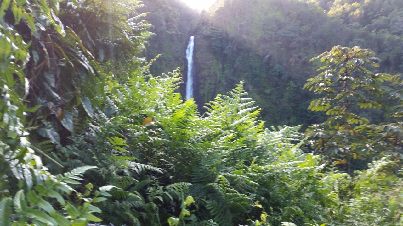 Photo of Outdoor in Waikoloa