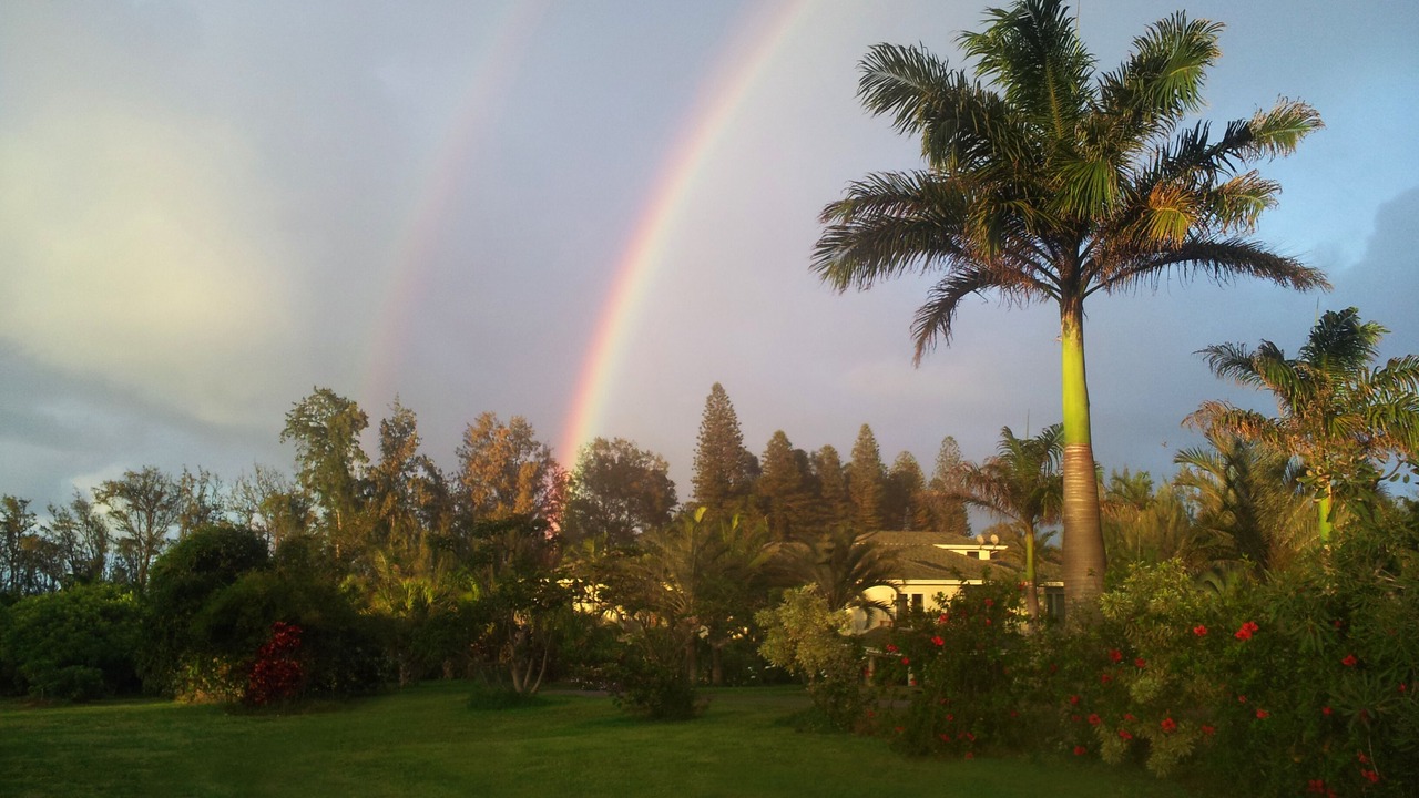Photo of Outdoor in Kapaau