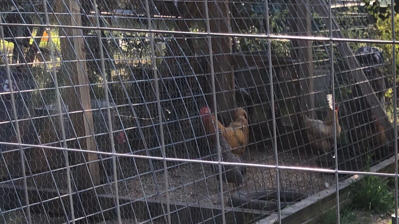 Photo of Others in Dripping Springs