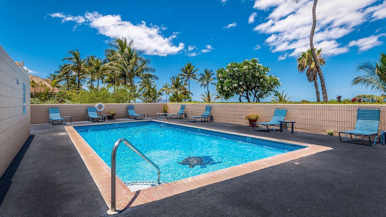 Photo of Outdoor in Kihei