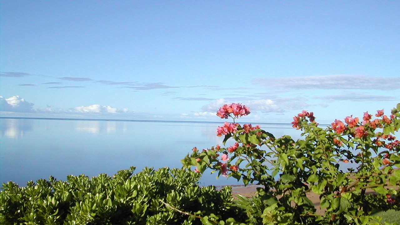 Photo of Others in Kaunakakai