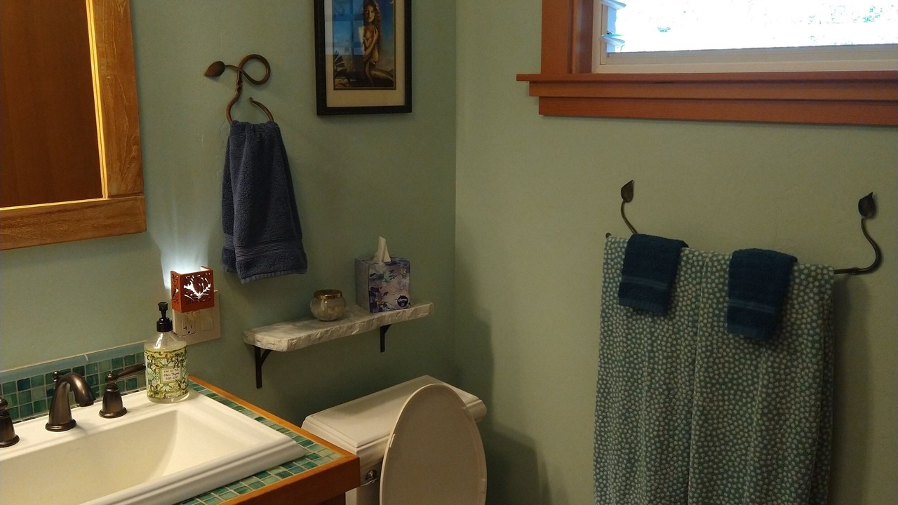 Photo of Bathroom in Kilauea
