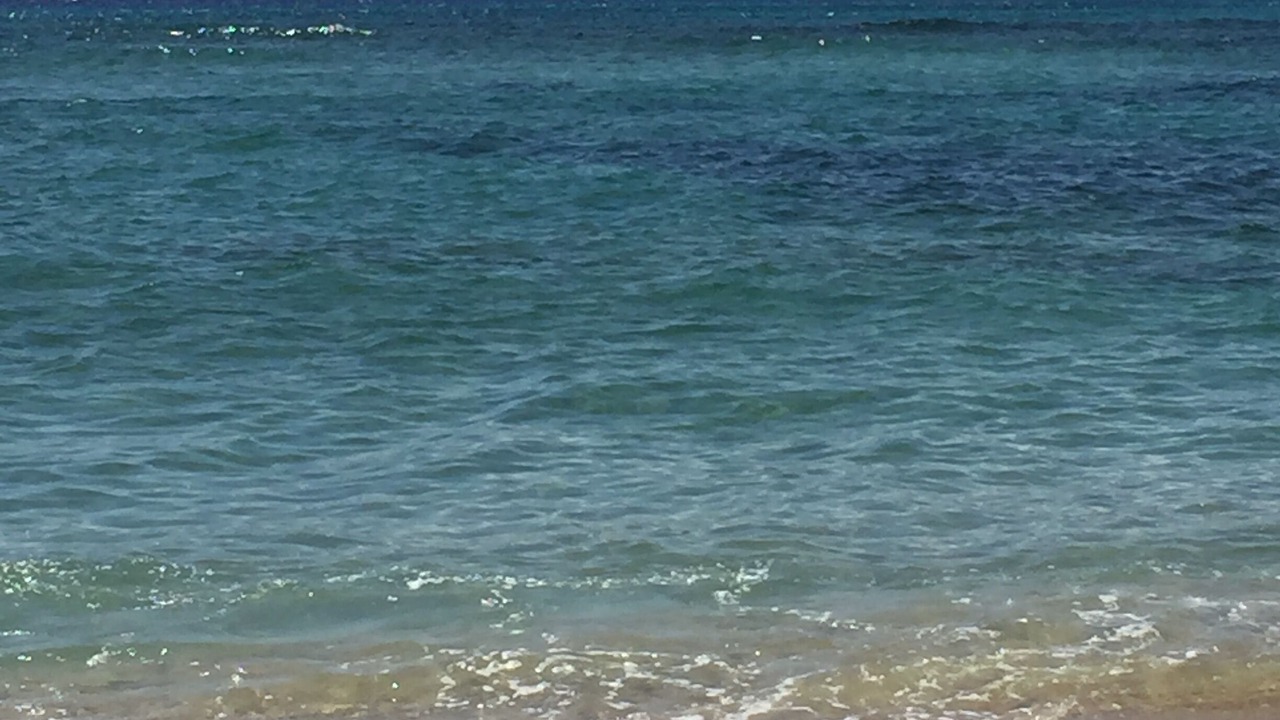 Photo of Others in Honokowai