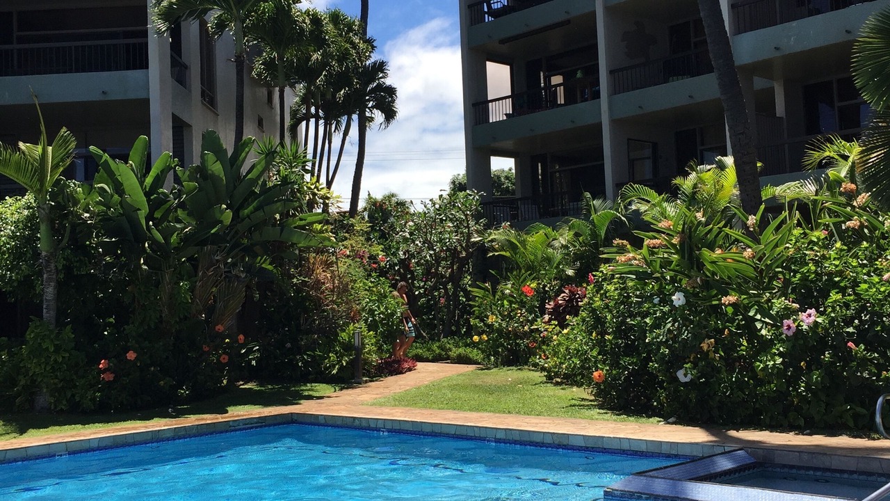 Photo of Outdoor in Honokowai