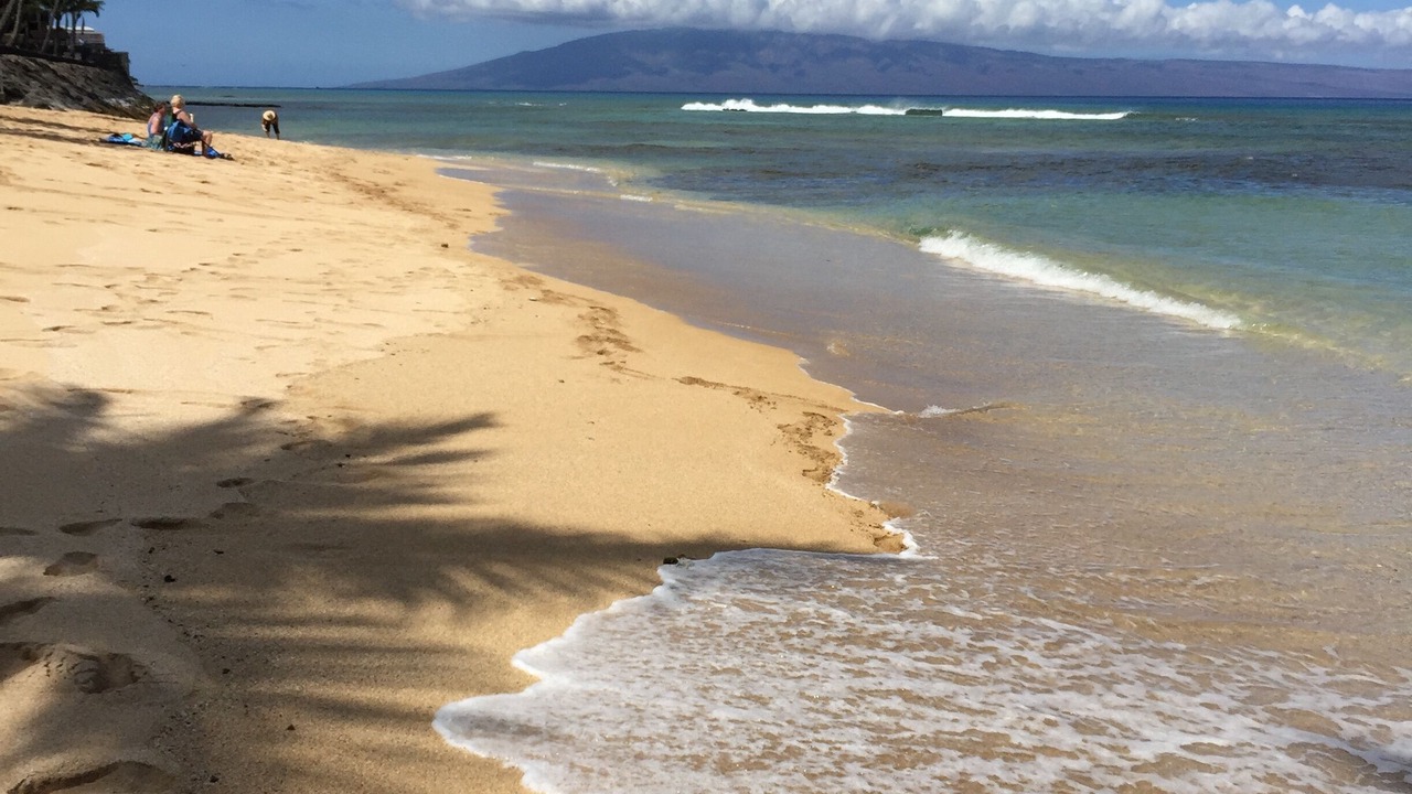 Photo of Others in Honokowai