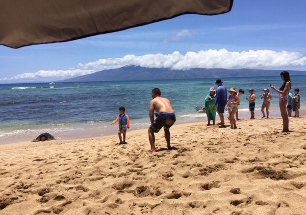Photo of Others in Honokowai