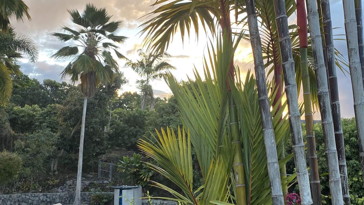 Photo of Outdoor in Honaunau-Napoopoo
