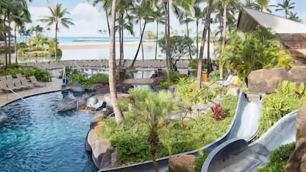 Photo of Outdoor in Waikiki